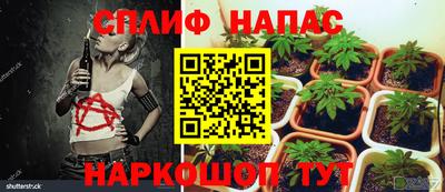 apvp Бийск