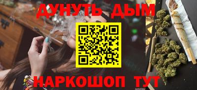 apvp Бийск