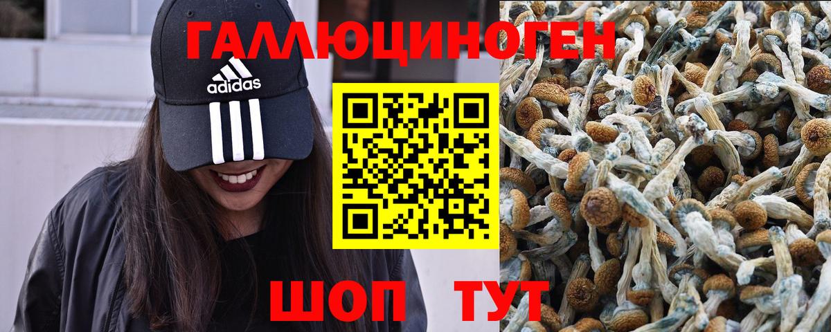 Псилоцибиновые грибы Magic Shrooms  Вход с VPN  Ивантеевка  Псилоцибиновые грибы GOLDEN TEACHER 
